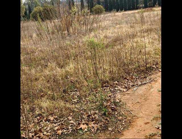 LAND FOR SALE IN GLEN AUSTIN